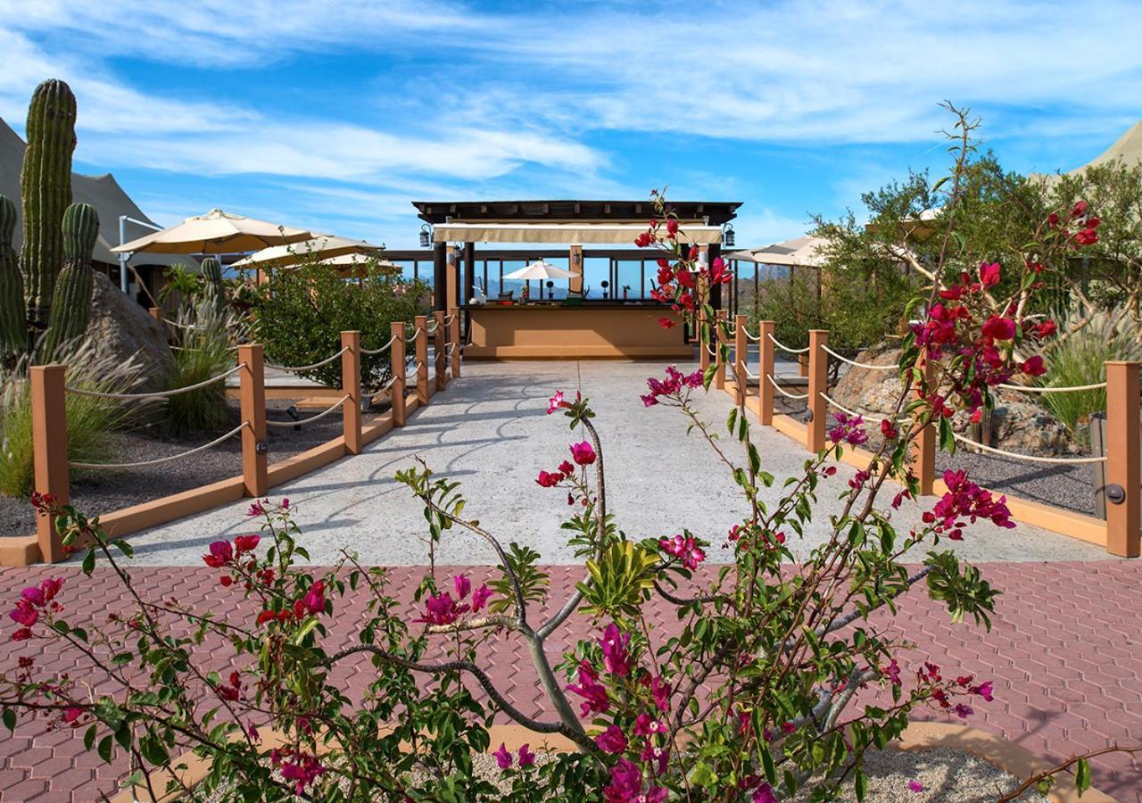 Villa Del Palmar At The Islands Of Loreto Loreto  Extérieur photo